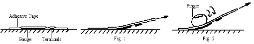 Fig10